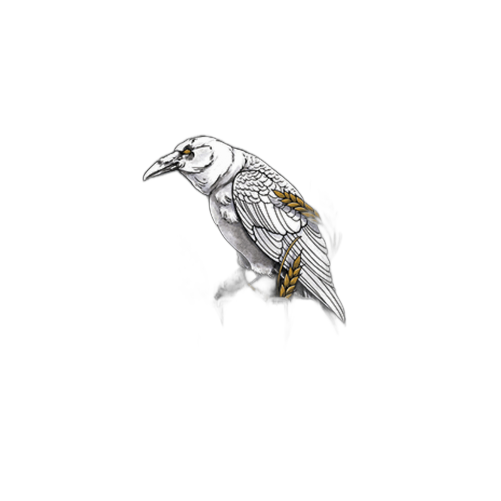 Apex White Raven Pale Ale IPA