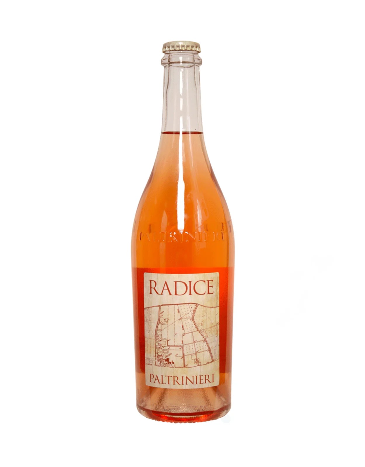 Paltrinieri Radice Lambrusco D
