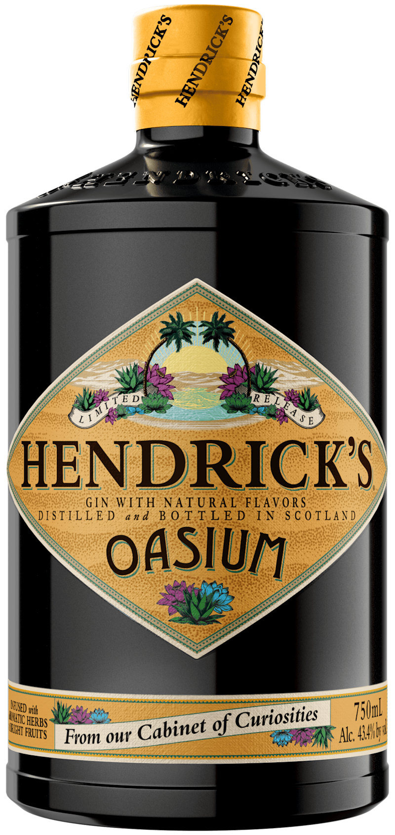 Hendricks Oasium