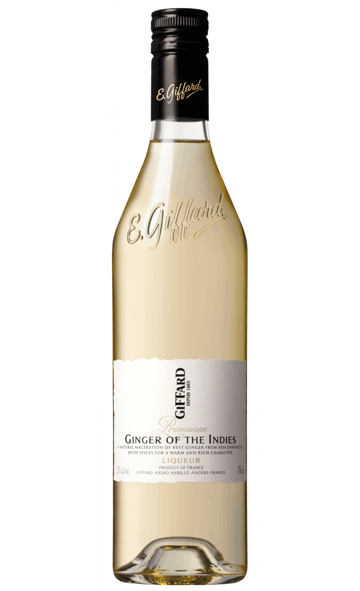 Giffard Ginger Os the Indies