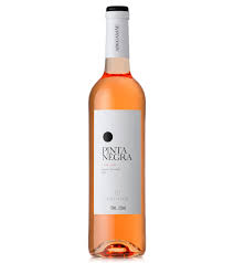 Pinta Negra Rose